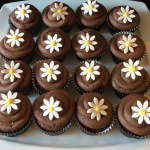chocolate_daisy_cupcakes